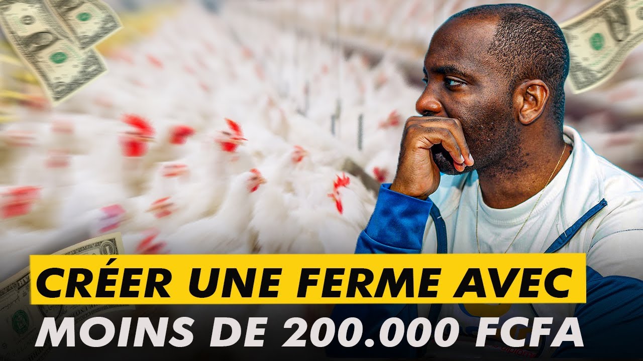 🐓 15 minutes pour comprendre comment créer une ferme avec 200.000 FCFA!