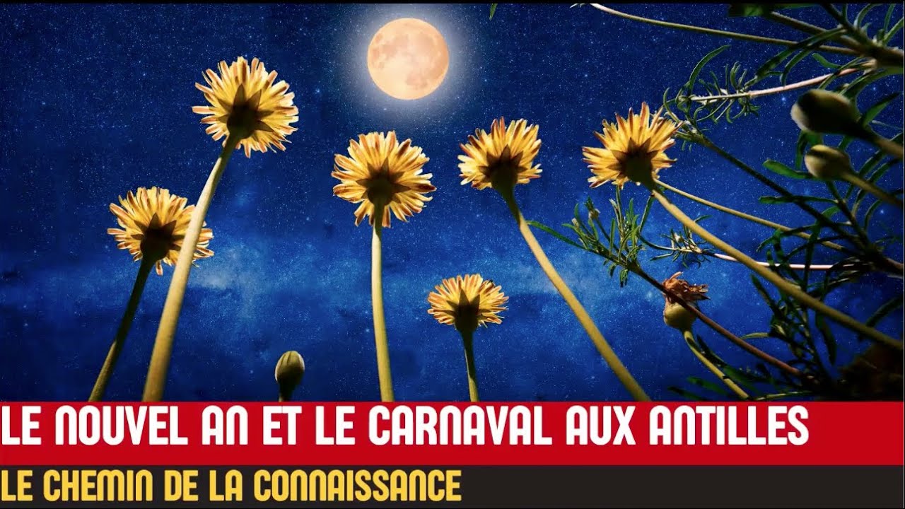 LE NOUVEL AN ET LE CARNAVAL AUX ANTILLES